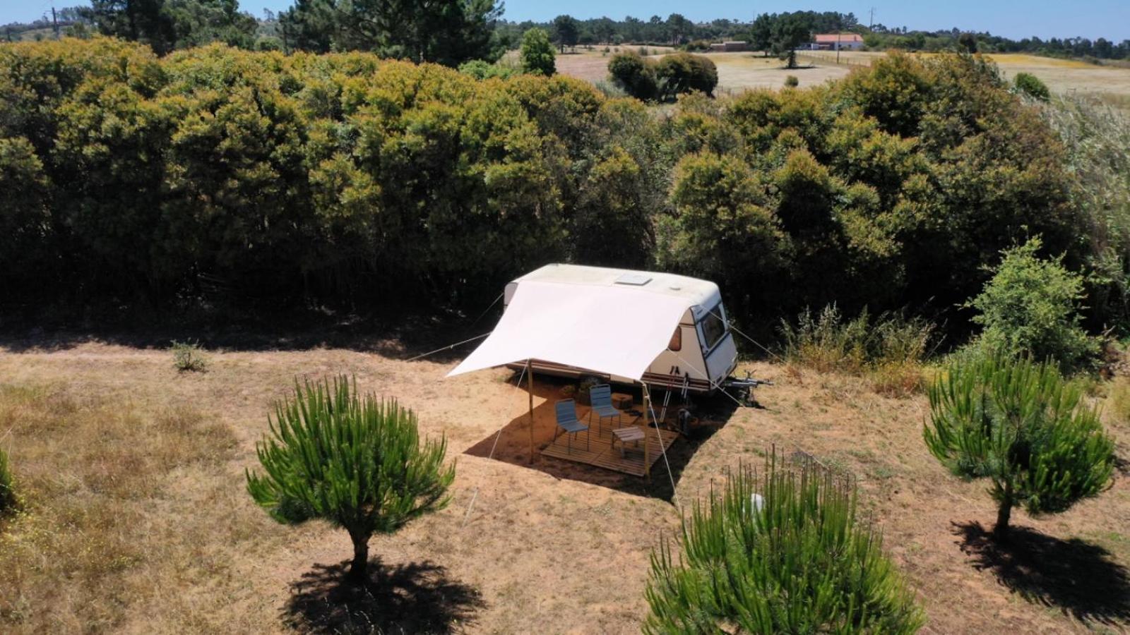 Hotel Cosy Nest In Animal Rescue Monte Dos Vagabundos São Teotónio Exteriér fotografie
